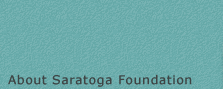 About Saratoga Foundation