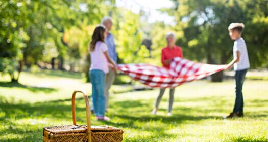 family picnicking