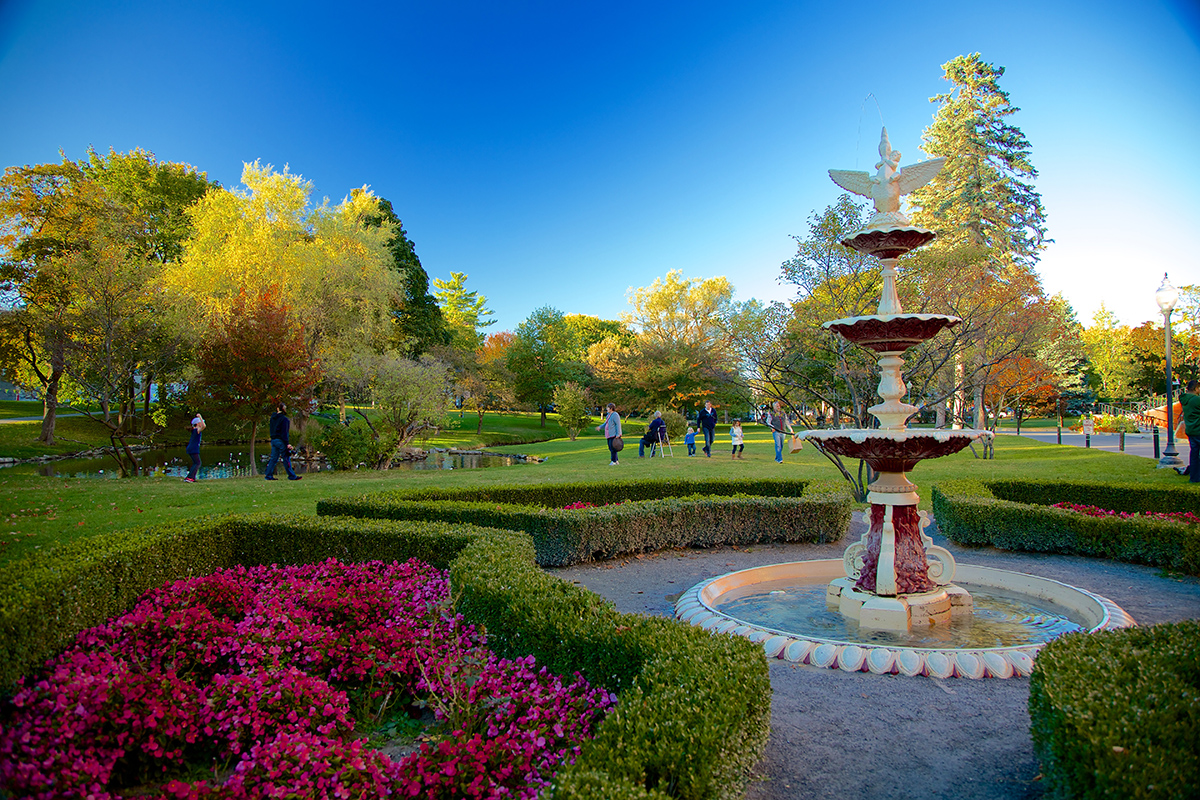 CongressPark1200x800 Spring in Congress Park