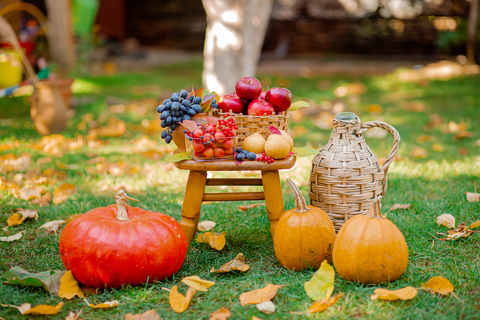 Autumn composition with apples, pumpkin and grapes