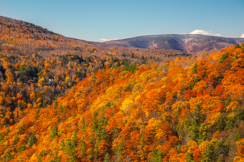 fall landscape