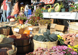 farmers market