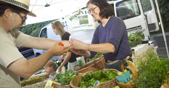 Woman selling vegetable at a farmers market