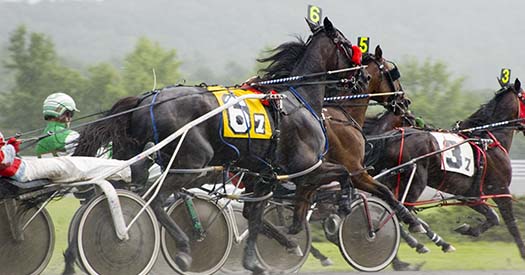 close race harness track horse race