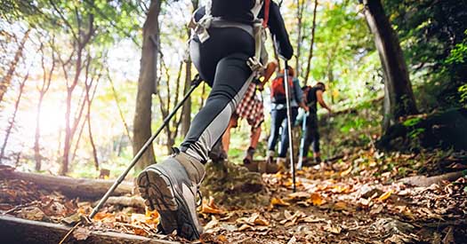hikers walking on inclining wooded trail