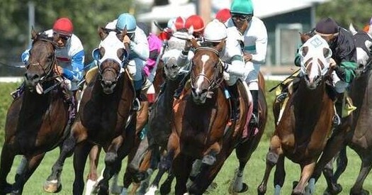 horses racing
