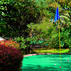 mini-golf-250x250 mini golf green with flag