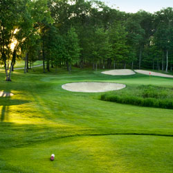 par3-250 par 3 golf tee and green