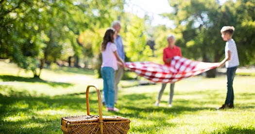 Family placing blanket in park on sunny a day