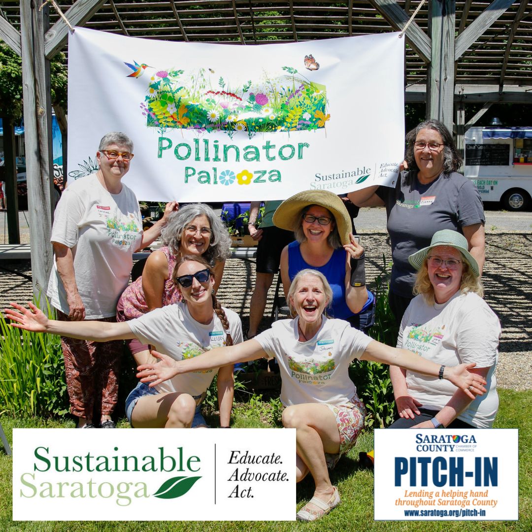 Sustainable Saratoga Sustainable Saratoga