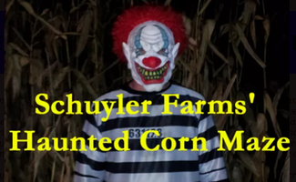 scary clown in corn maze